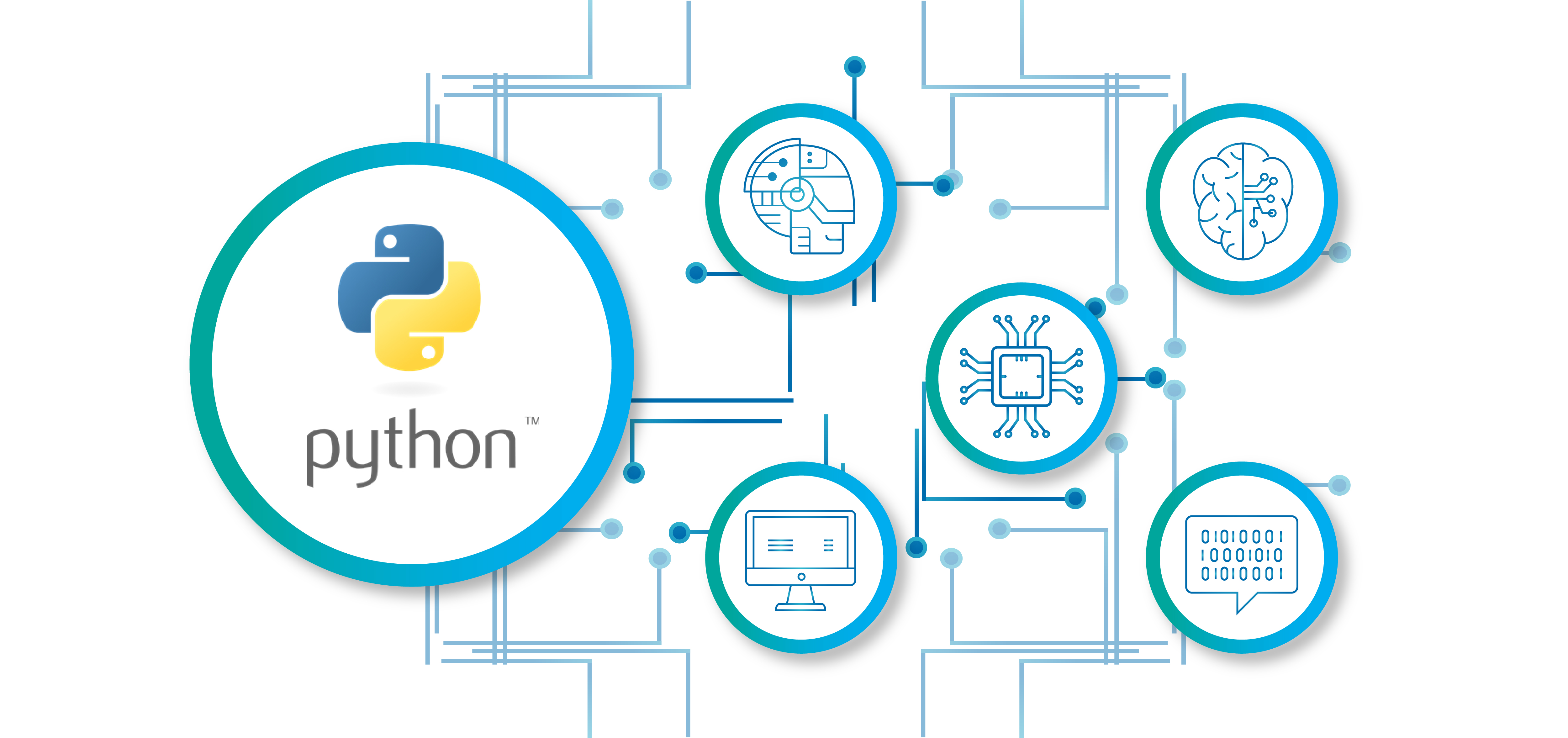 Unleashing Python's Power in AI and Image Processing A Practical Guide