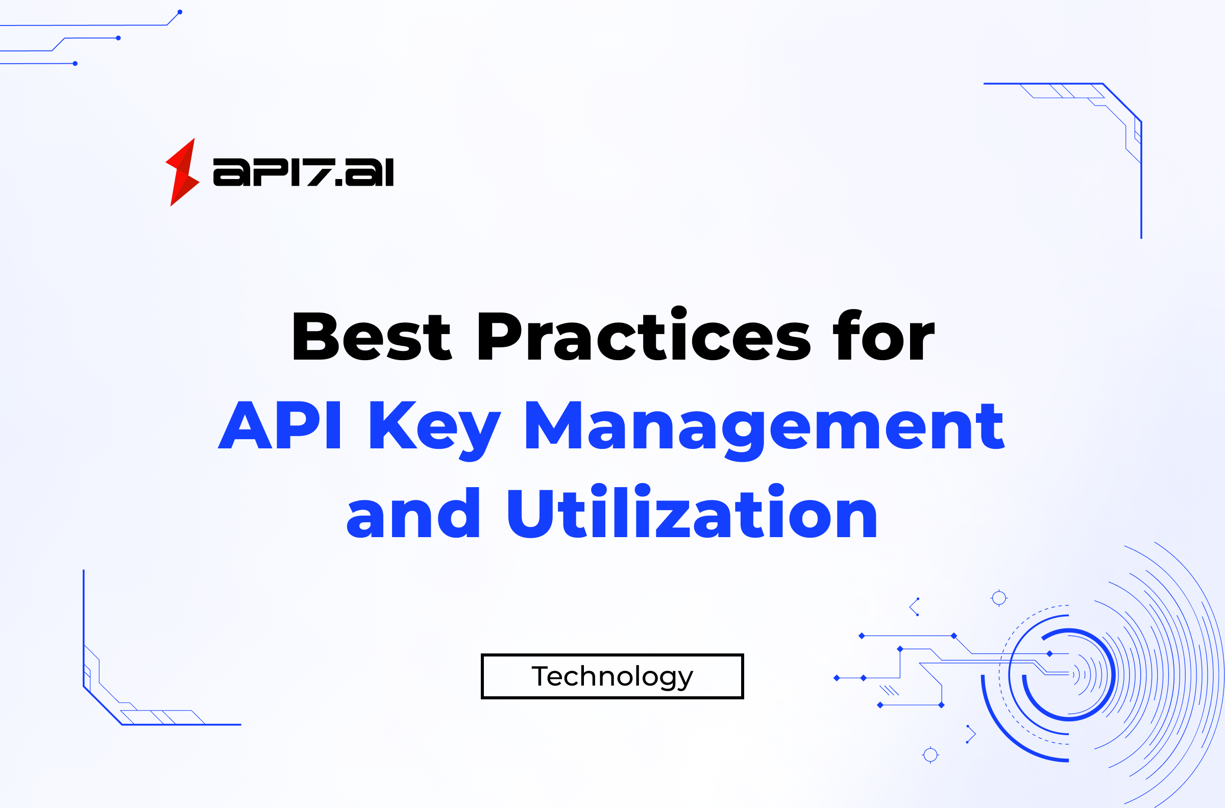 Best Practices in API Key Management and Utilization