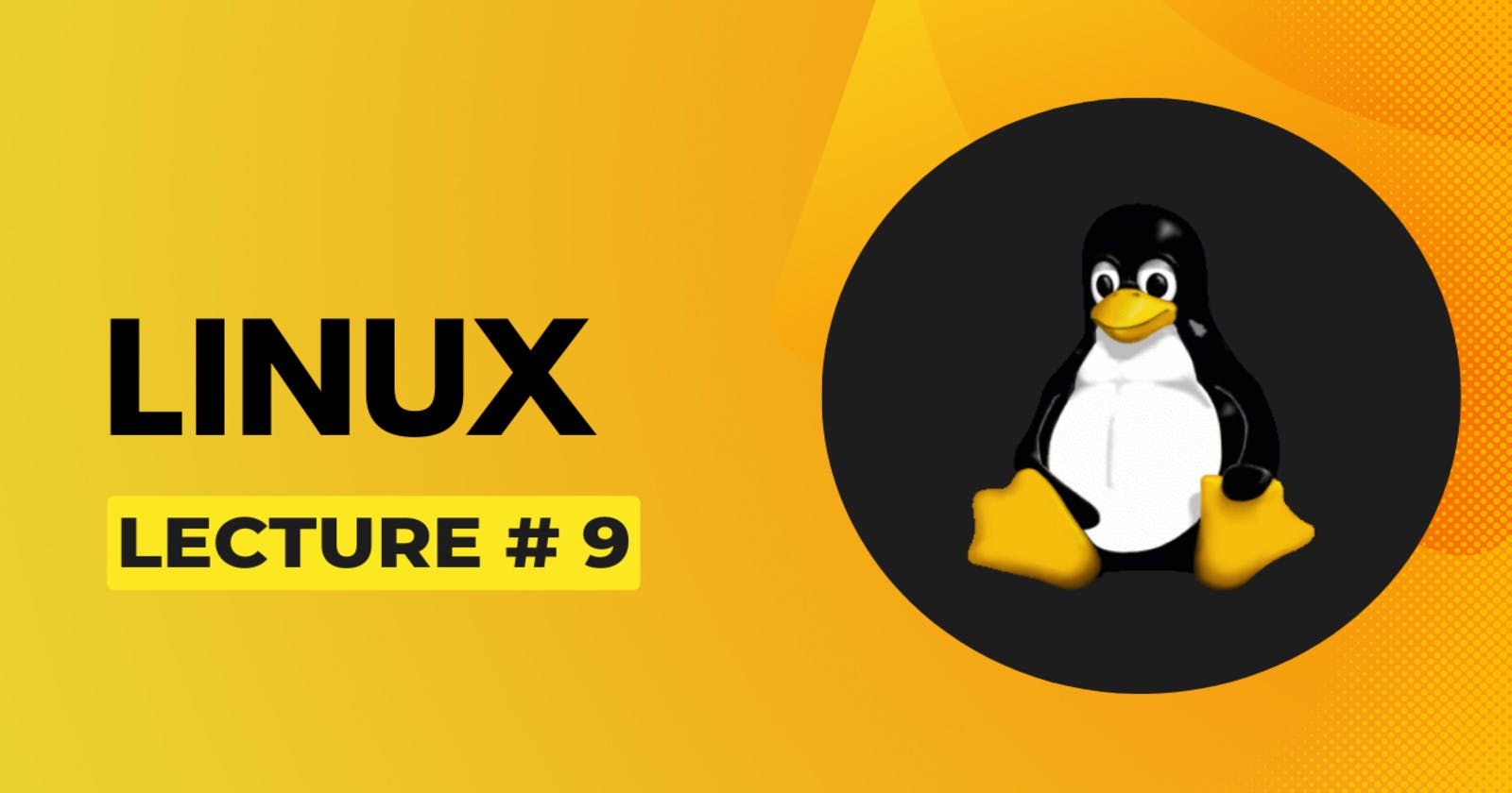 Lecture # 9 - Linux File System