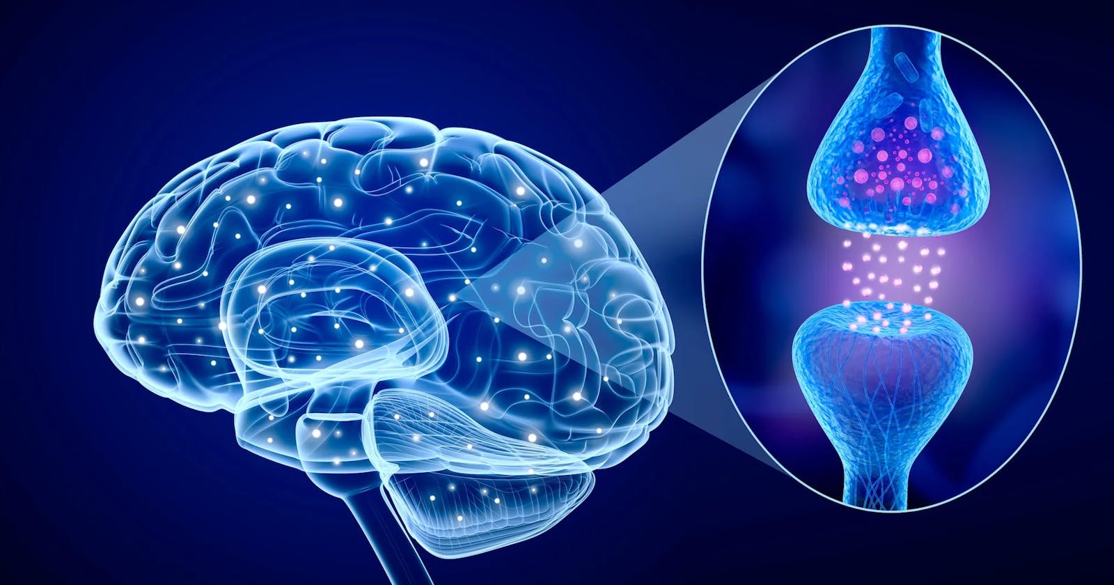 Neurofuel Reviews and Transform Your Brain!