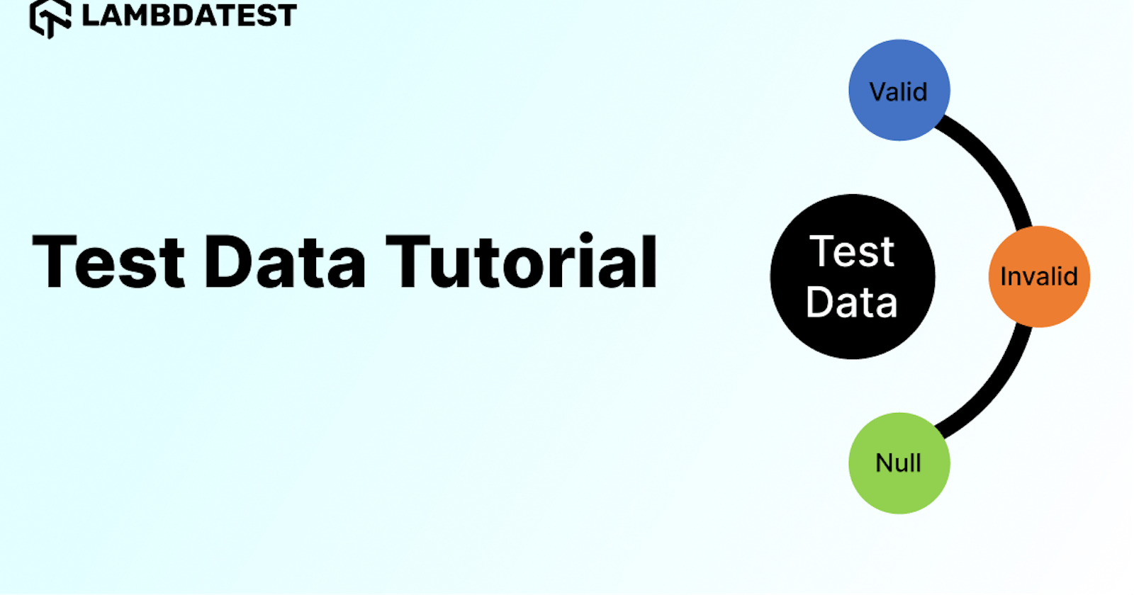 What is Test Data in Software Testing