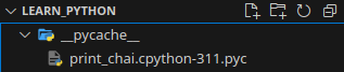 The __pycache__ directory is where the generated byte code is stored.