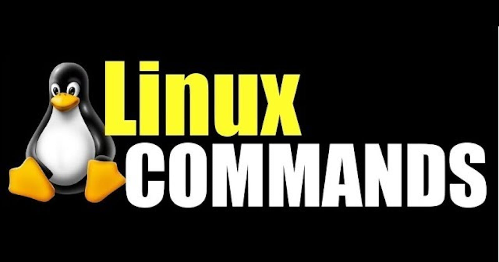Day 3 -  Basics Linux command