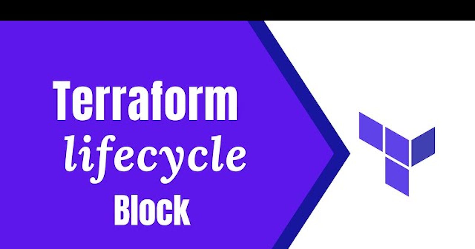 Terraform Basics & Lifecycle.