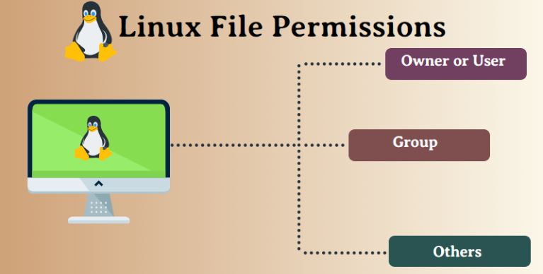 Linux File Permissions