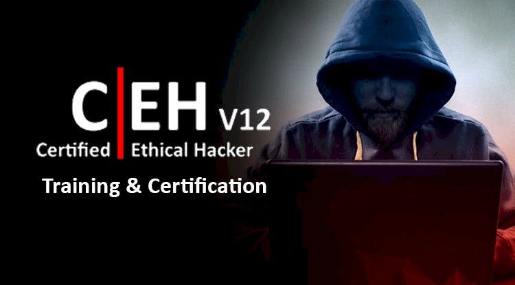 CEH Training and Certification