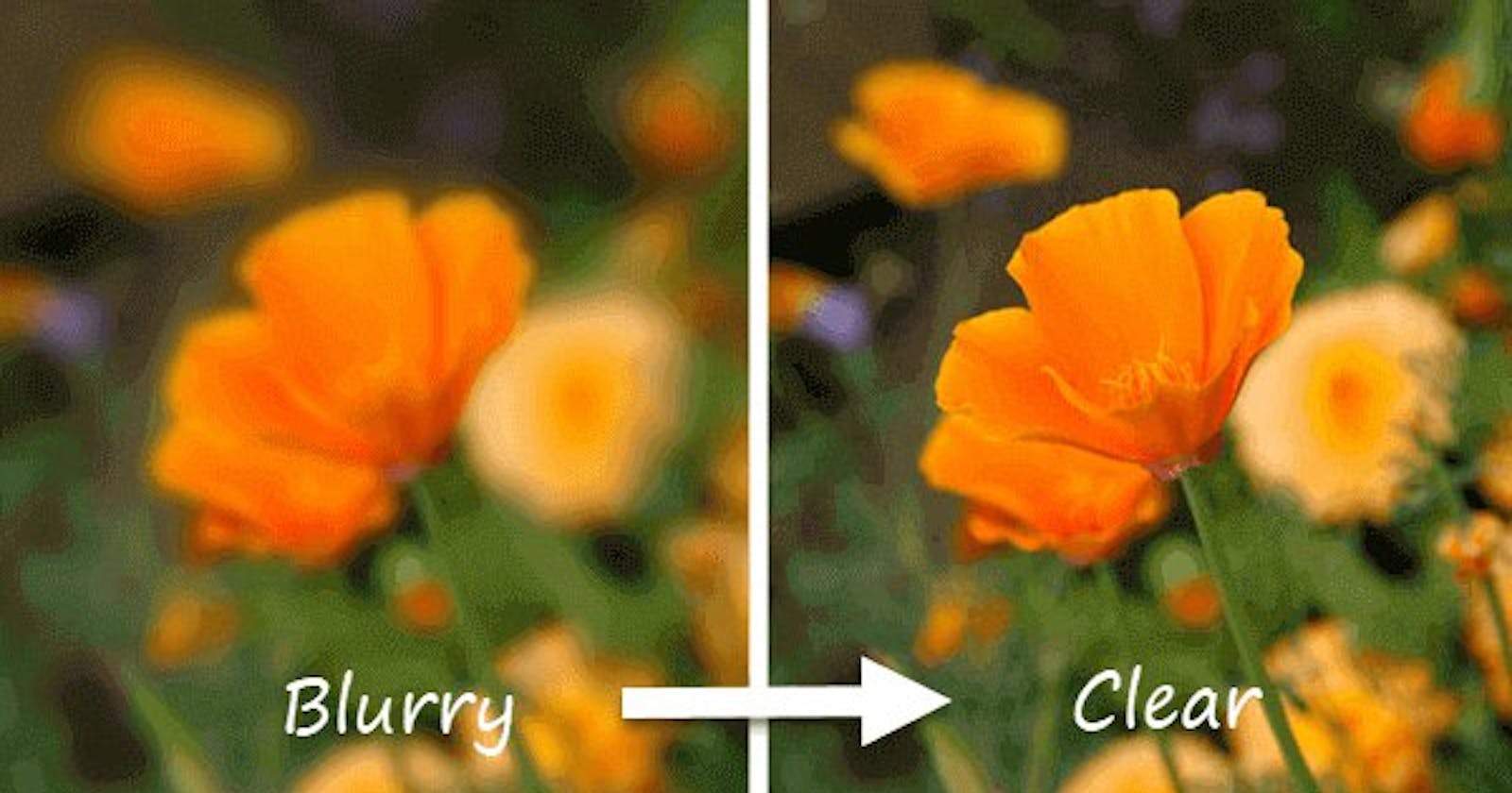 Recovering Sharpness: A Comprehensive Exploration of Image Deblurring Techniques Leveraging Deep Learning
