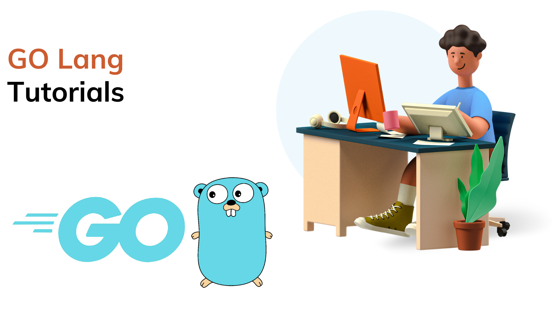 Type Declaration: GO lang
