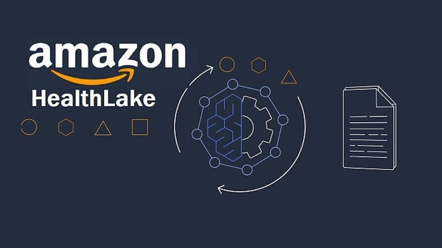 A Beginner's Guide to Harnessing the Power of AWS HealthLake