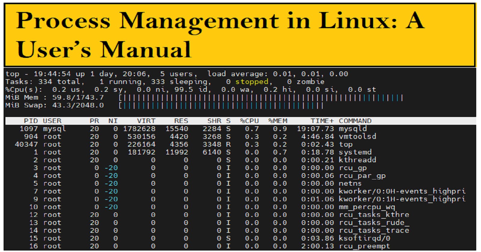 Process Management in Linux: A User’s Manual