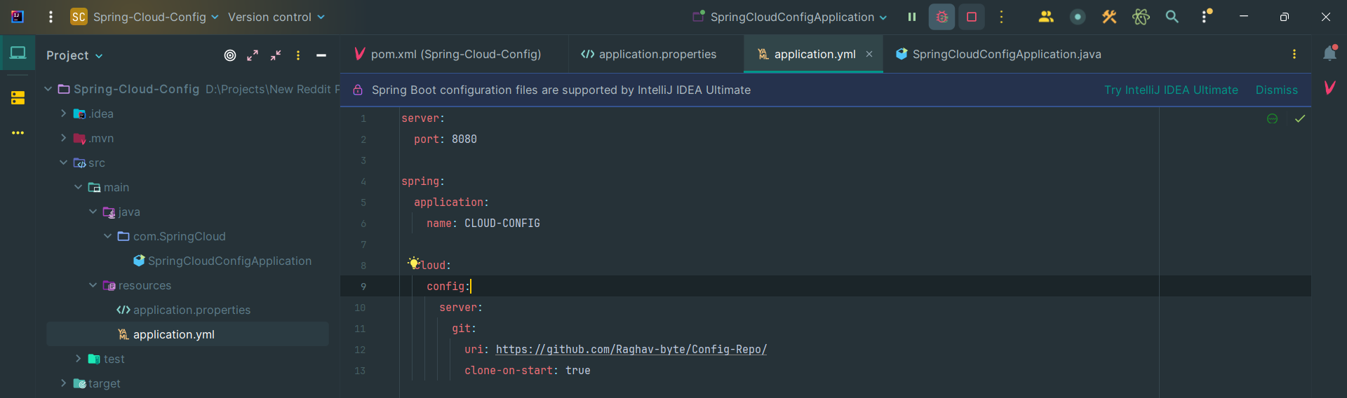 Snapshot of Config File