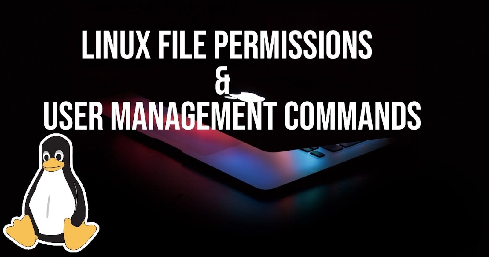 Linux File Permissions and User Management Commands!🐧🚀