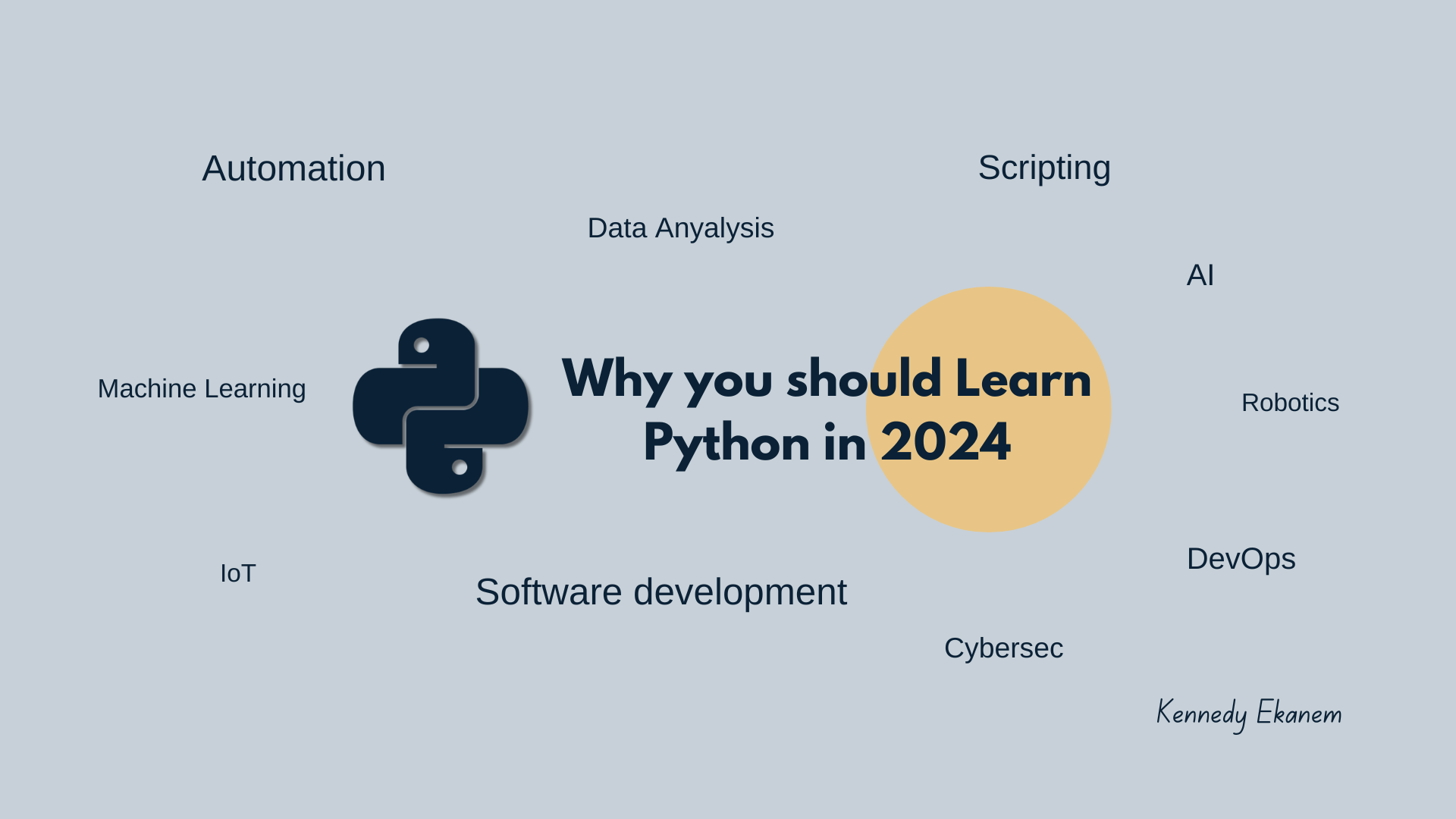 Why you should Learn Python in 2024