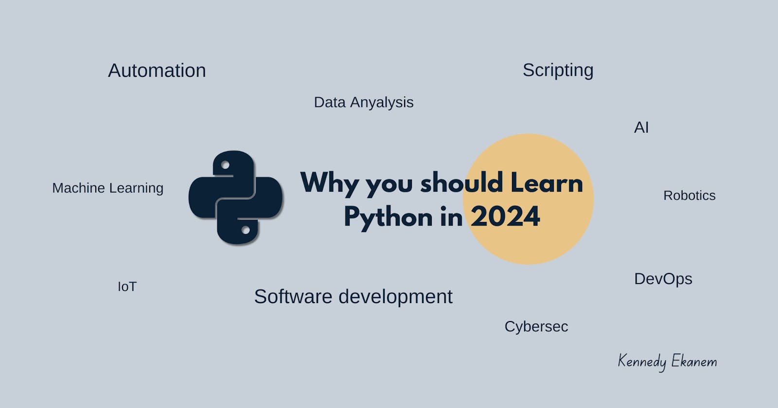 Why you should Learn Python in 2024