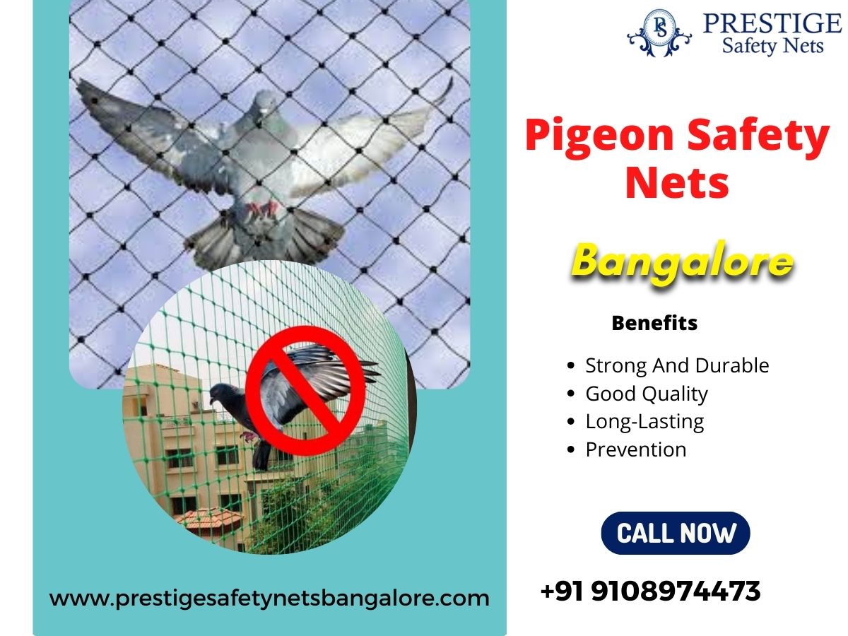 Ensuring Safety with Pigeon Safety Nets in Bangalore