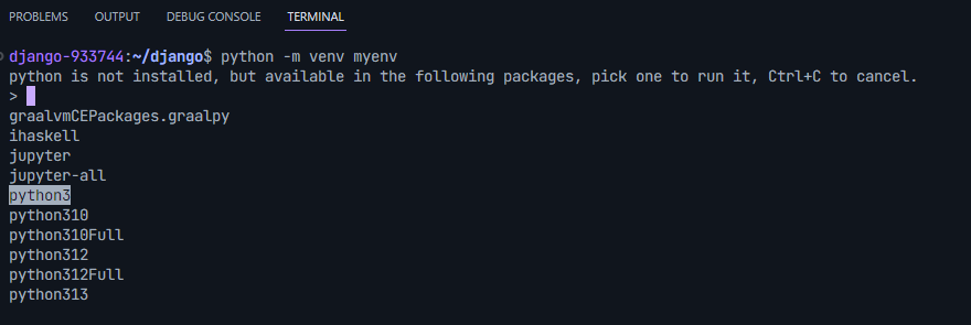 Terminal in Project IDX while creating virtual environment