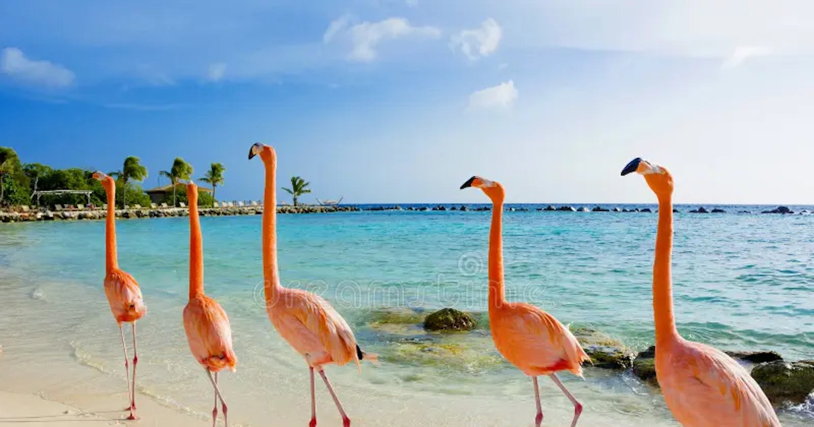 Why Aruba Is a Fantastic Travel Destination for Kids?