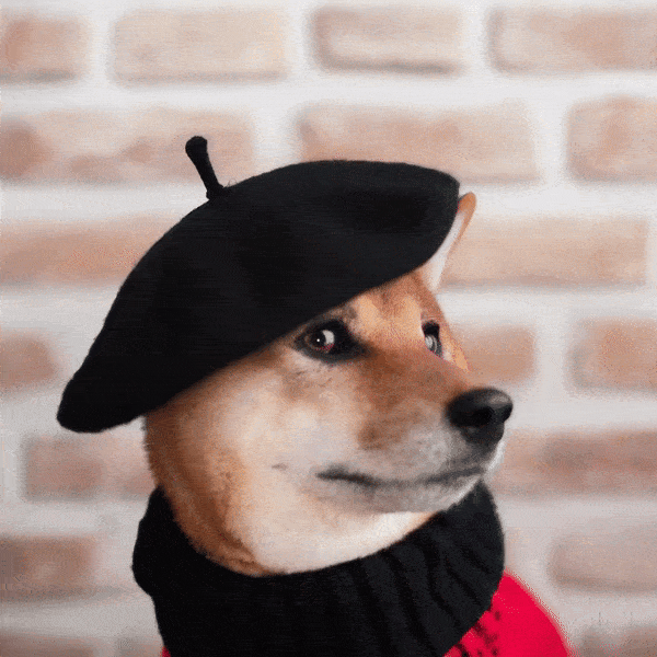 A Shiba Inu dog wearing a beret and black turtleneck.