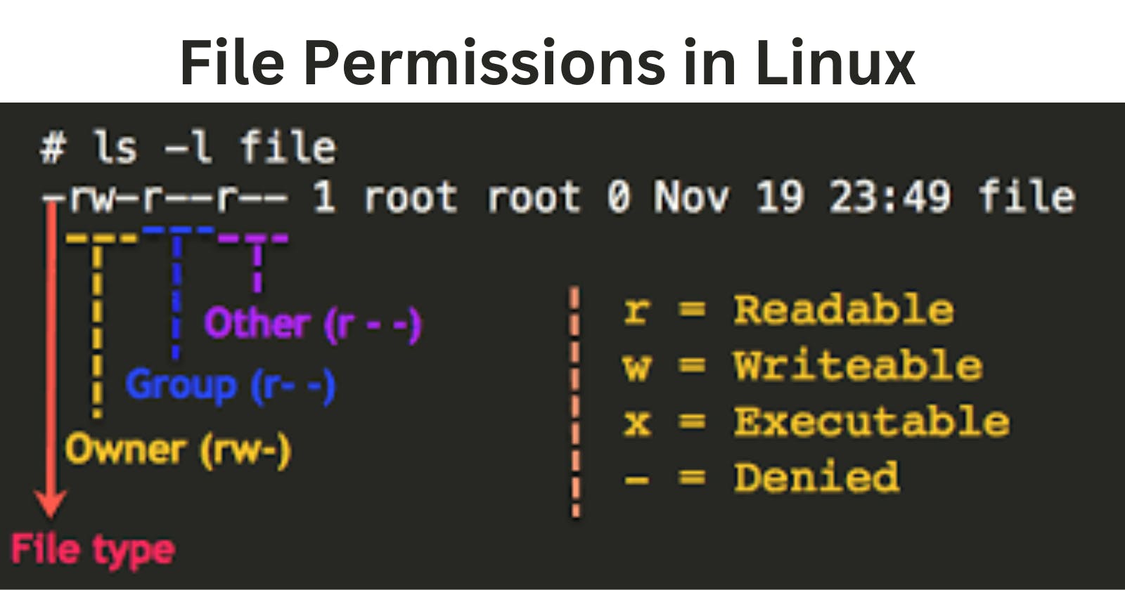 Demystifying File Permissions in Linux 🐧