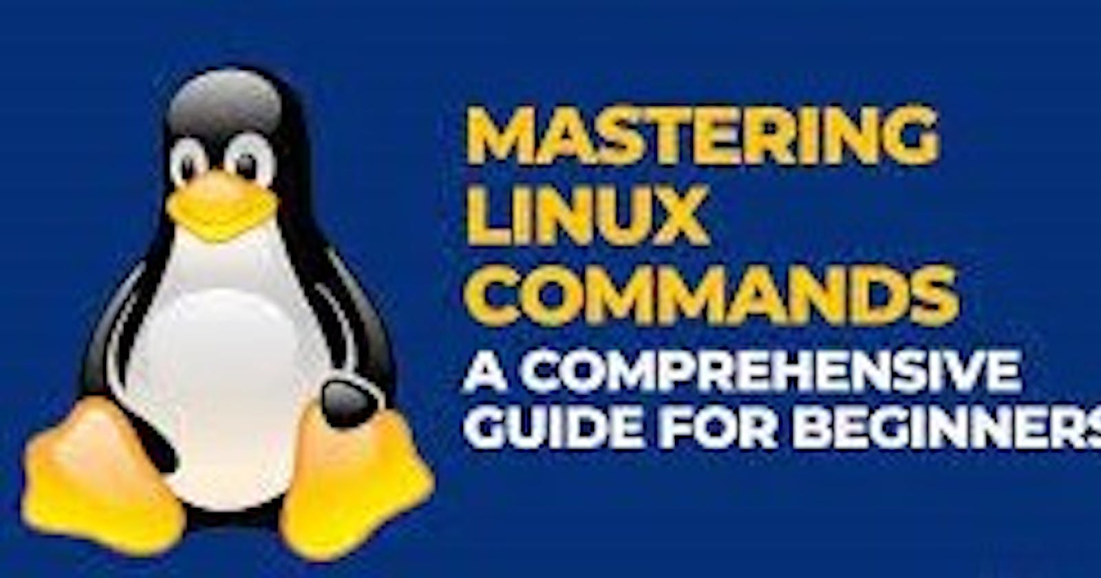 Day 3 - Mastering Basic Linux Commands