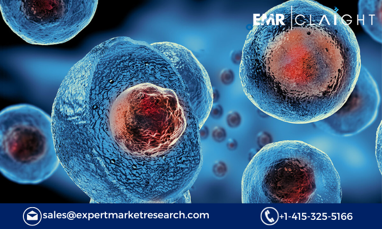 Stem Cell Banking Market: Growth Drivers, Trends, and Key Players 2024-2032