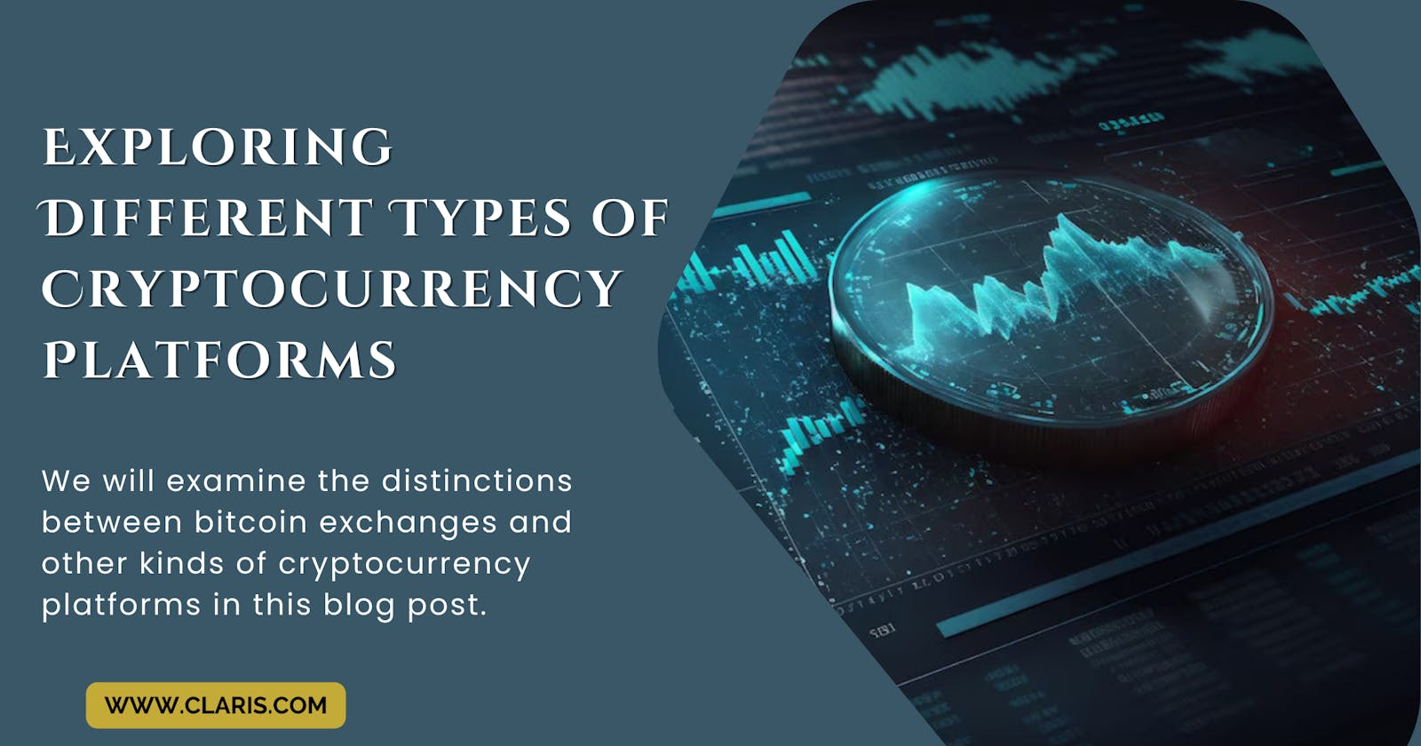 Exploring Different Types of Cryptocurrency Platforms