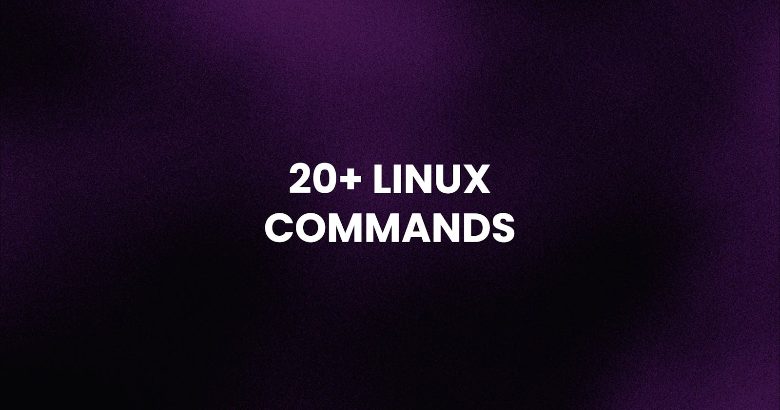 Top 20+1 Linux Commands for Beginners