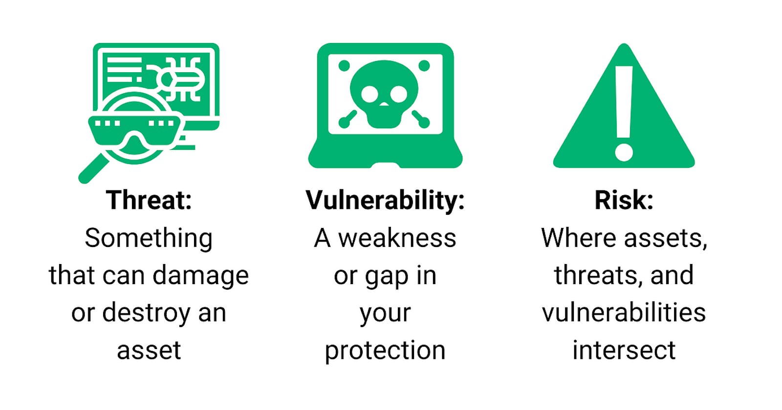 Vulnerability, Threat, and Risk