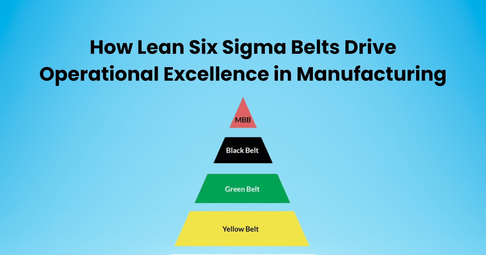 How Lean Six Sigma Belts Drive Operational Excellence in Manufacturing