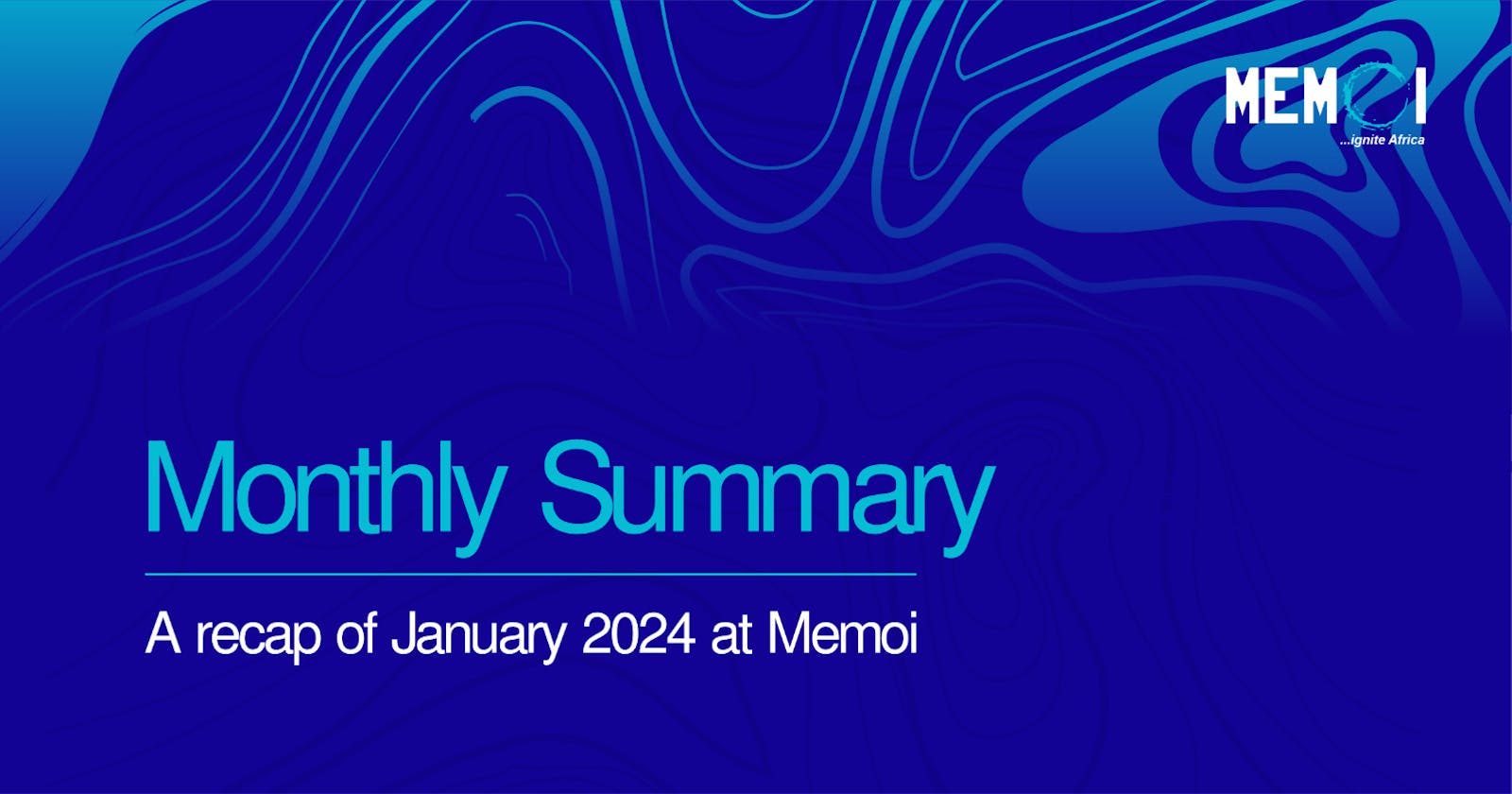 MEMOI AFRICA January 2024 Monthly Summary