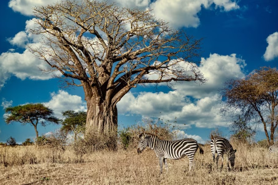 Africa Paradise Adventure - Kenya Wildlife Safari Packages