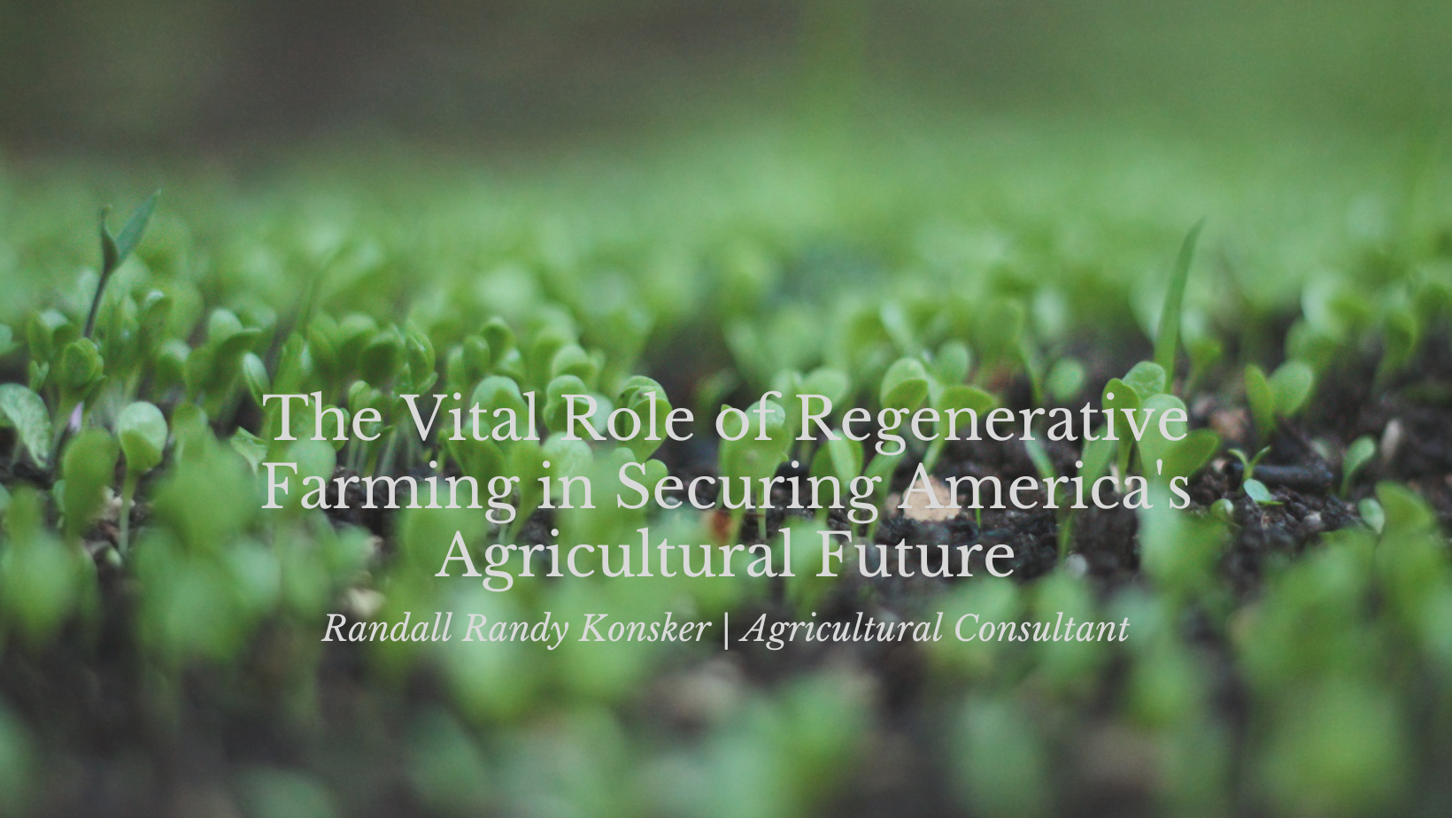 The Vital Role of Regenerative Farming in Securing America's Agricultural Future