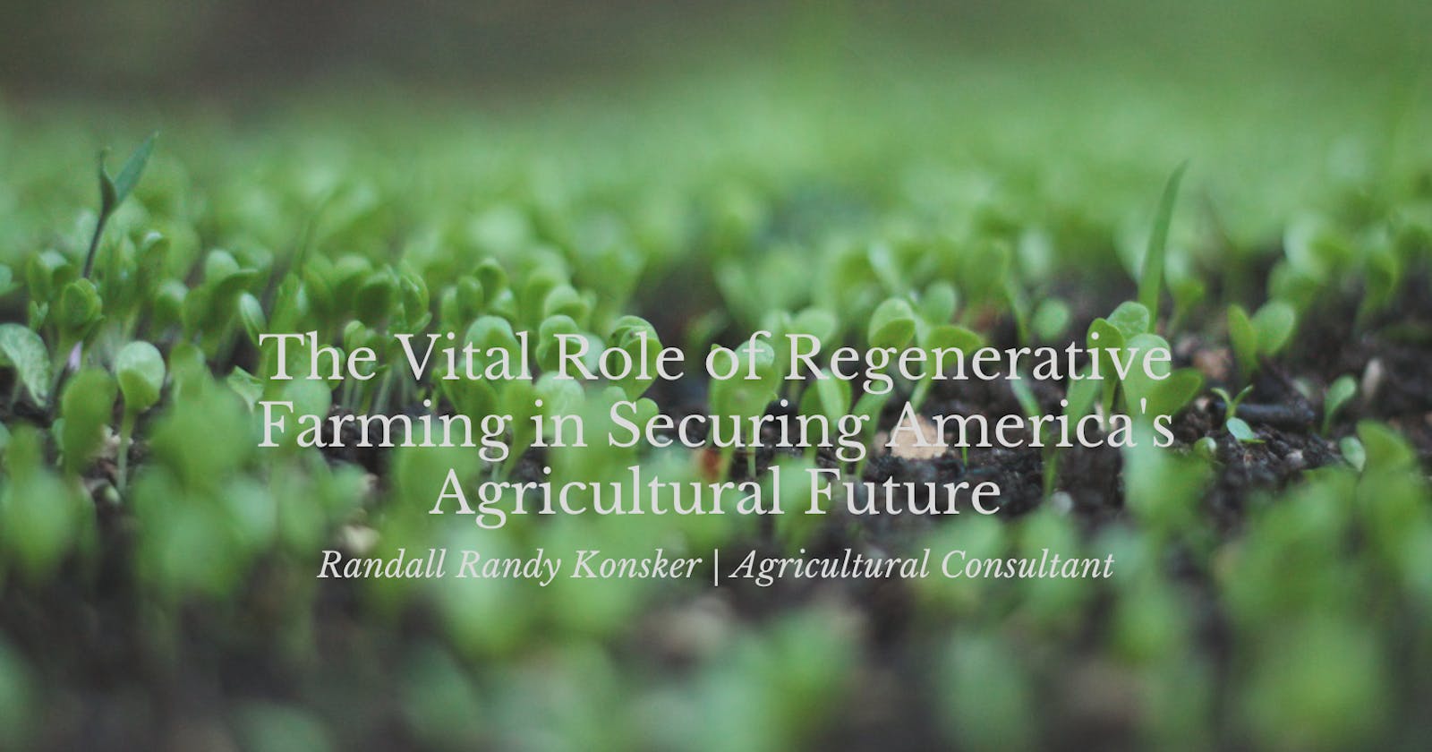 The Vital Role of Regenerative Farming in Securing America's Agricultural Future