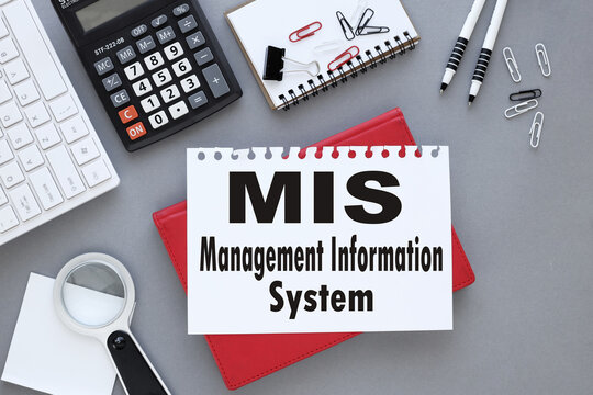 "Unlocking Strategic Insights: MIS Software Development by Technothinksup Solutions Pvt Ltd"