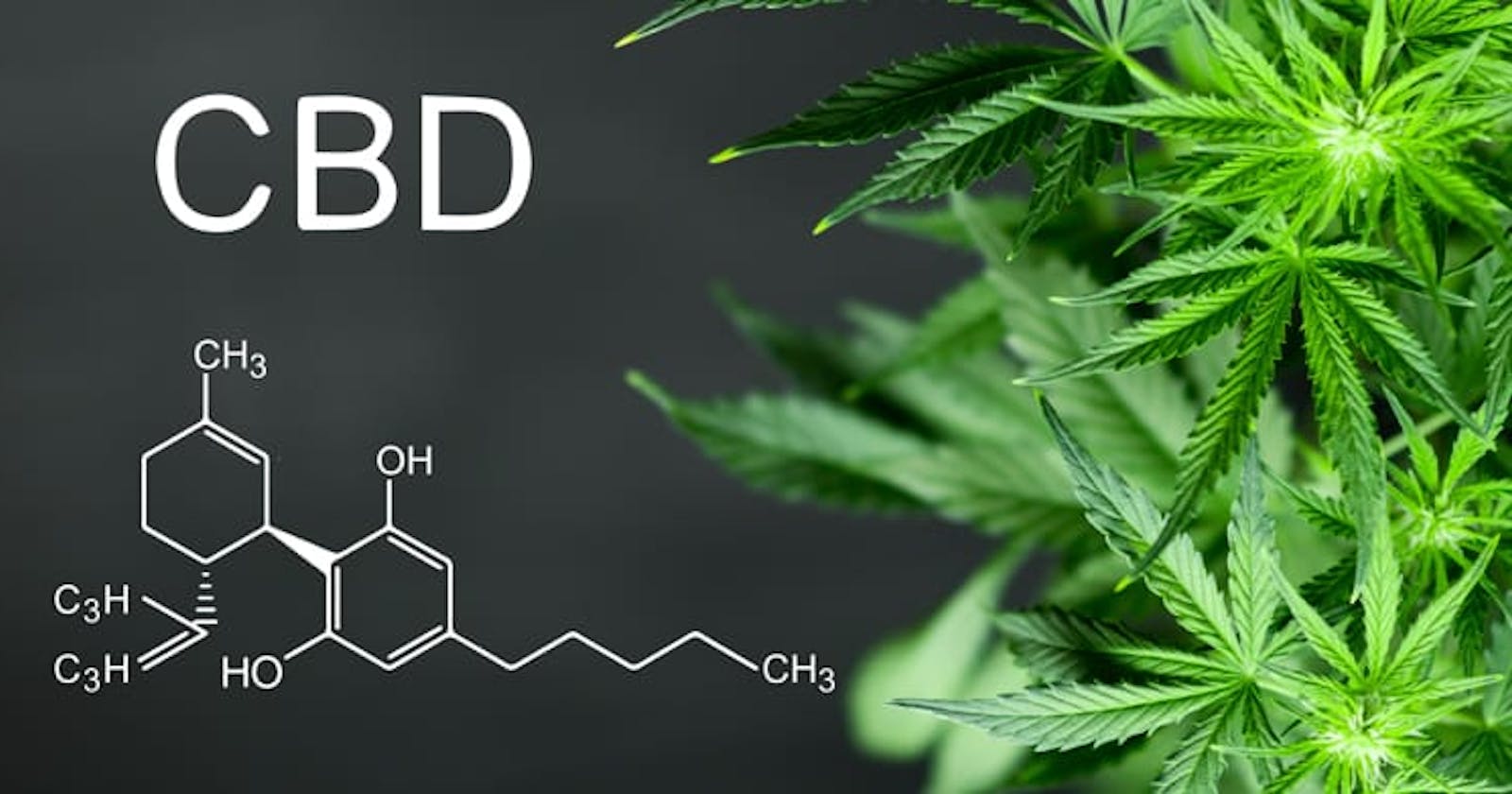 The Lowdown on CBD: Insider Facts You Won't Hear from Most Marketers