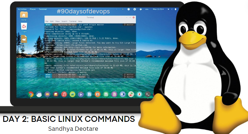 Navigating the Linux Environment: Key Commands for Effective Command-Line Interaction