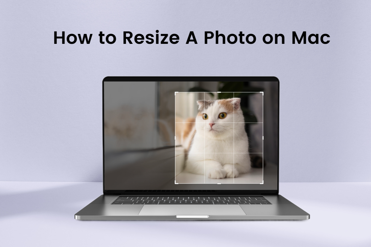 A Comprehensive Guide to Image Resizing