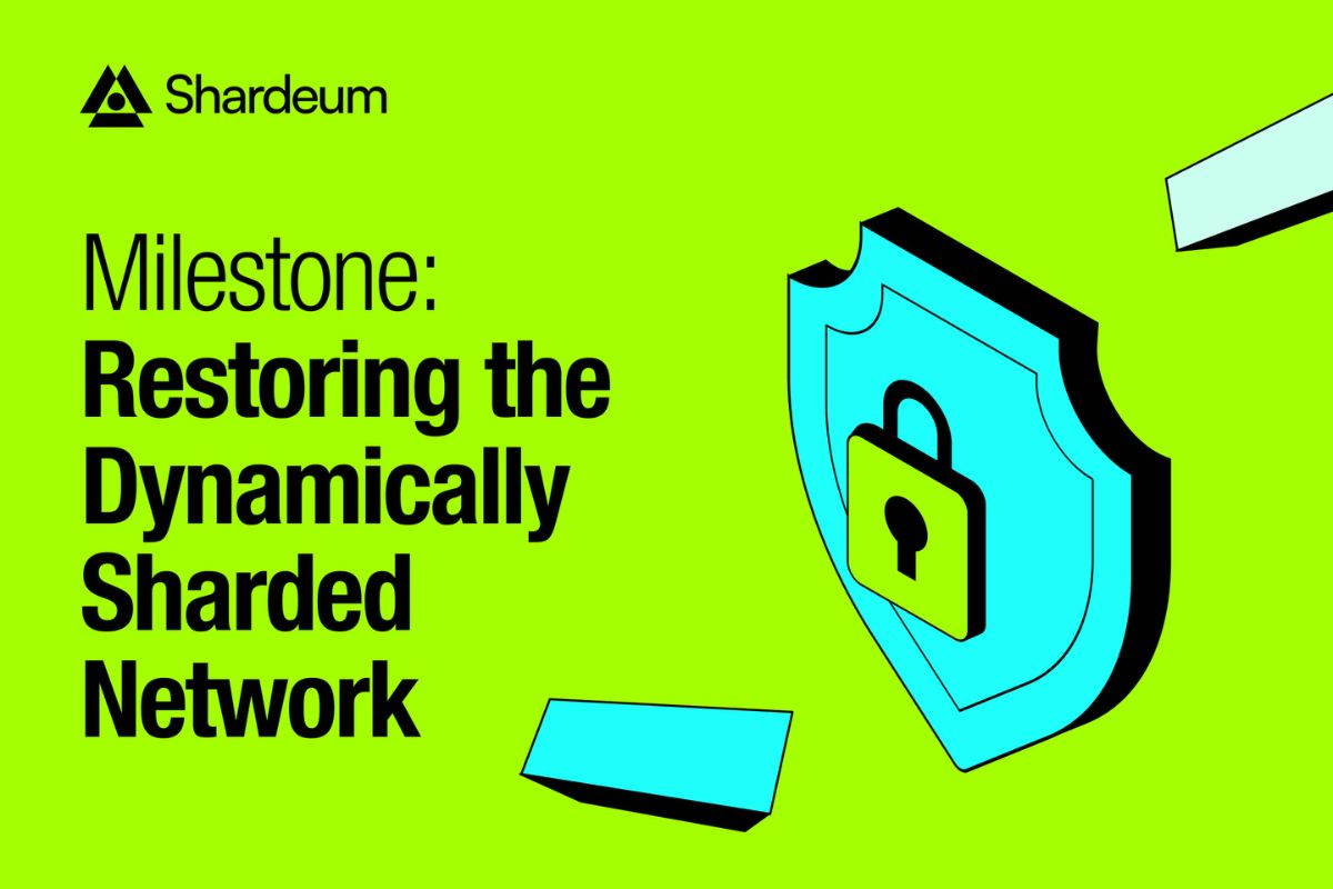 Shardeum Milestone: Restoring the Dynamically Sharded Network✨