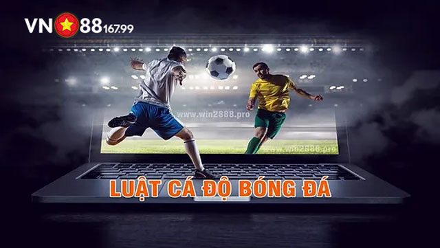 Hướng Dẫn Thực Hiện Cá Độ Bóng Đá Theo Luật Pháp Việt Nam: Bước Đầu Cần Biết