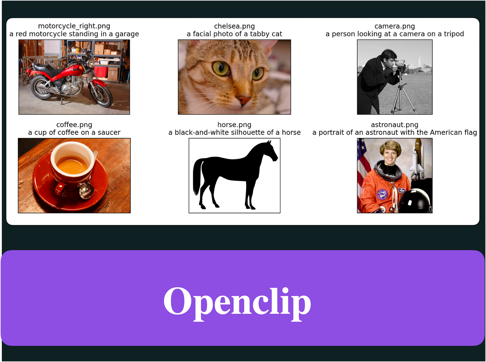 Openclip Made Easy: Expert Tips for Success