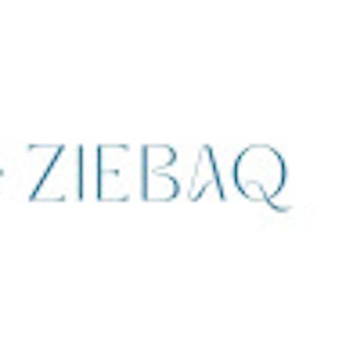 Ziebaq Technology's blog