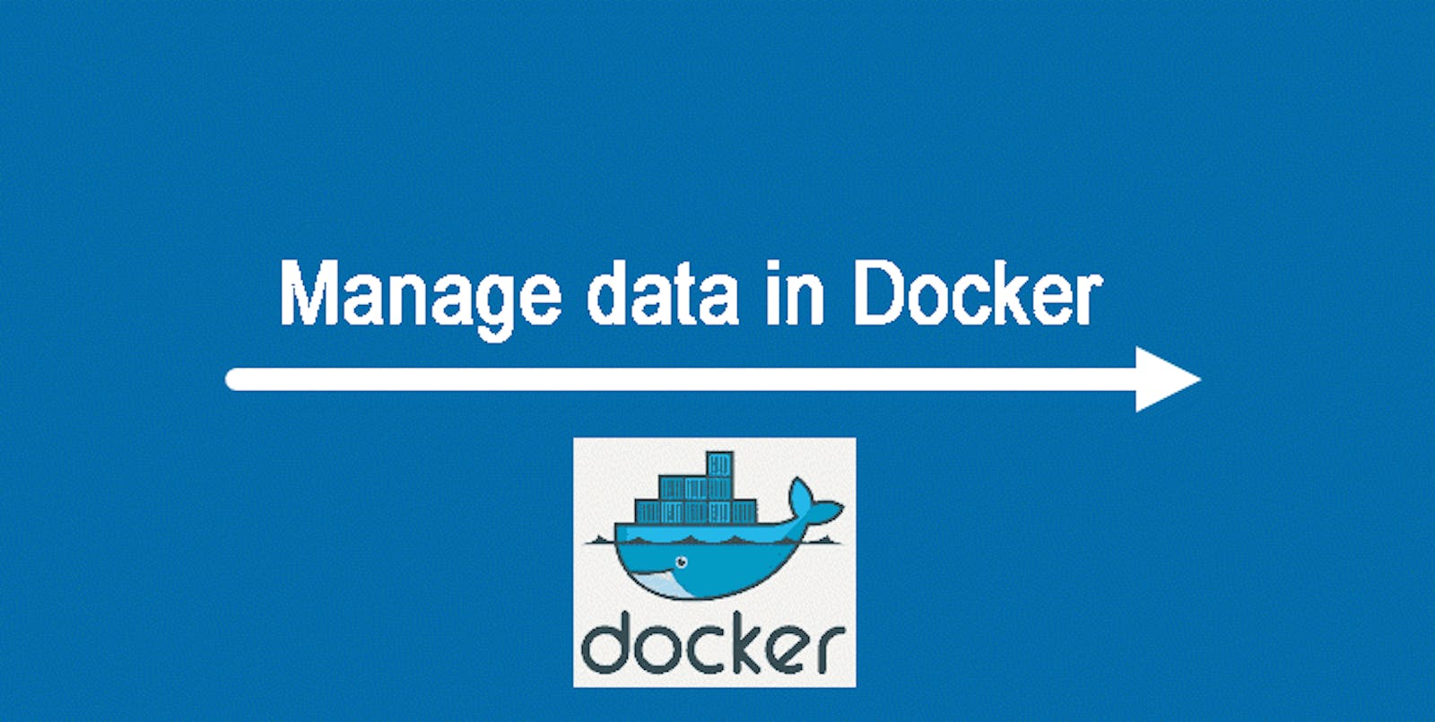 Manage data in Docker