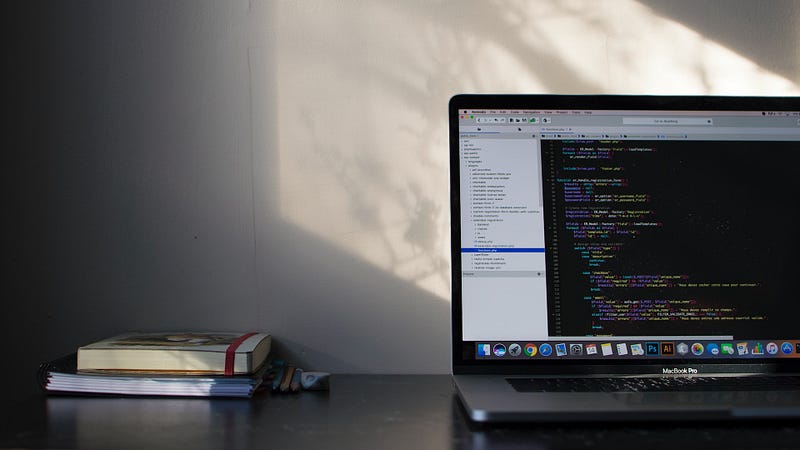 What is a professional programmer?