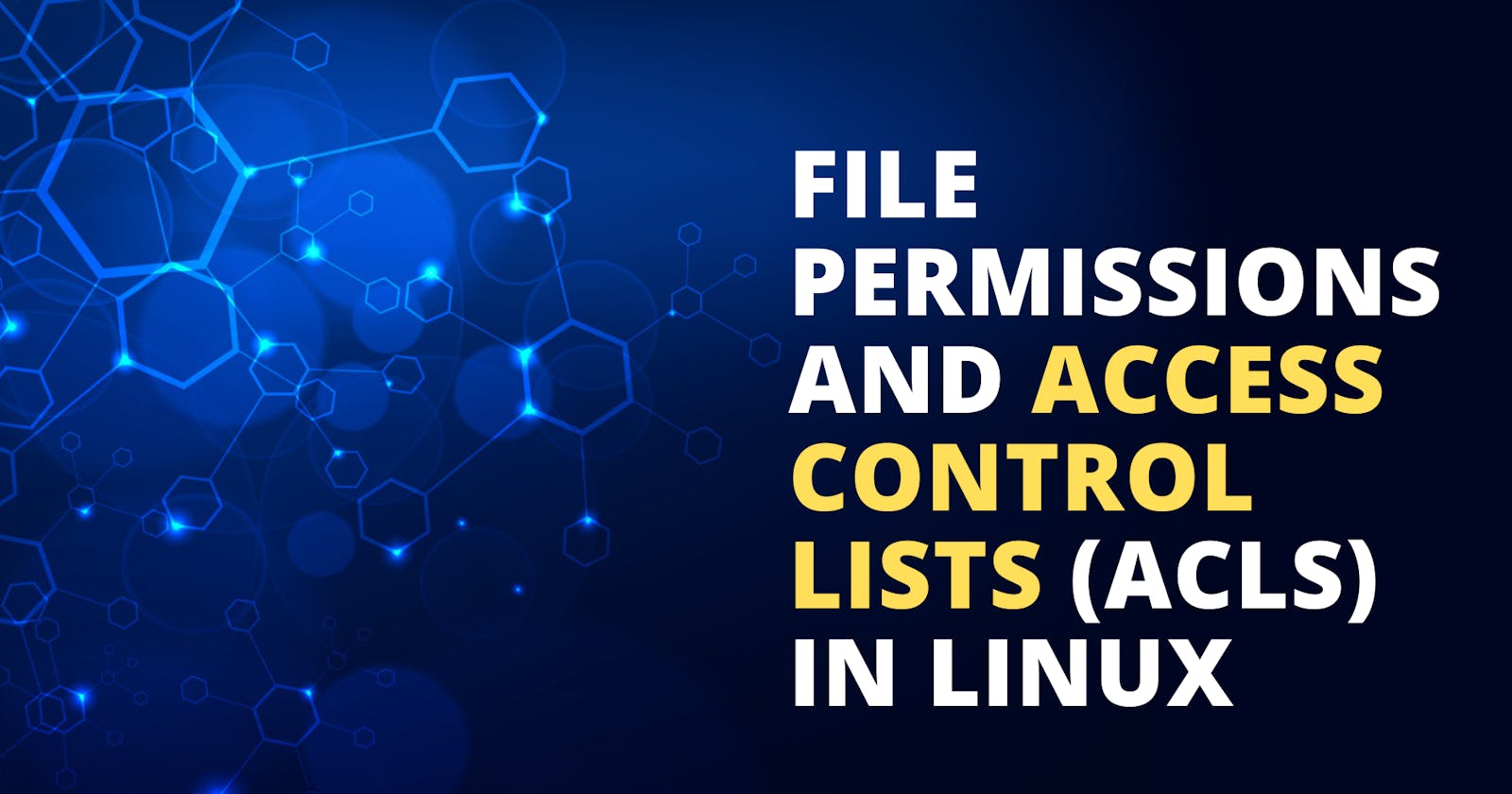 File Permissions and Access Control Lists (ACLs) in Linux