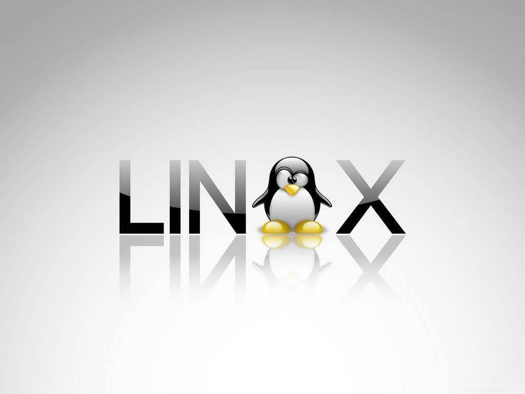 Essential Linux Commands: A Practical Guide to Boost Your Productivity