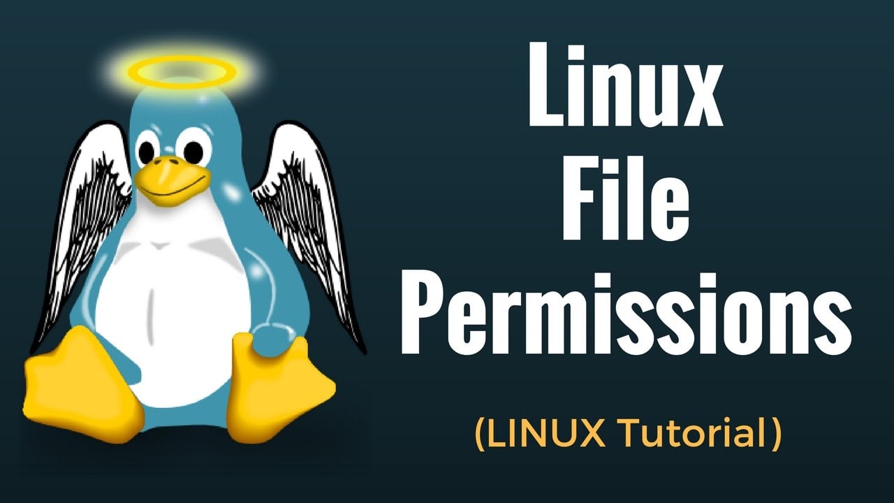 The Linux Permissions Journey: Understanding and Mastering File Access Control