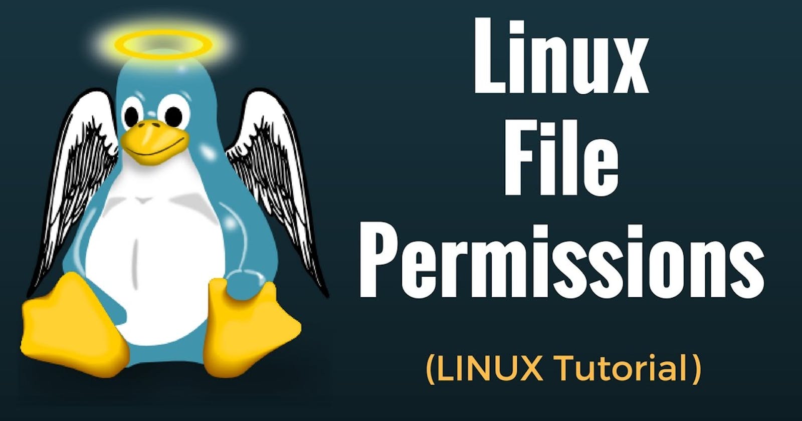 The Linux Permissions Journey: Understanding and Mastering File Access Control
