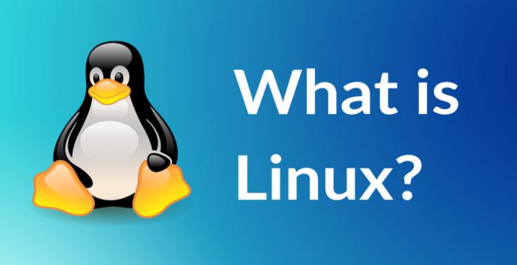 Day 2 : Basic Linux commands