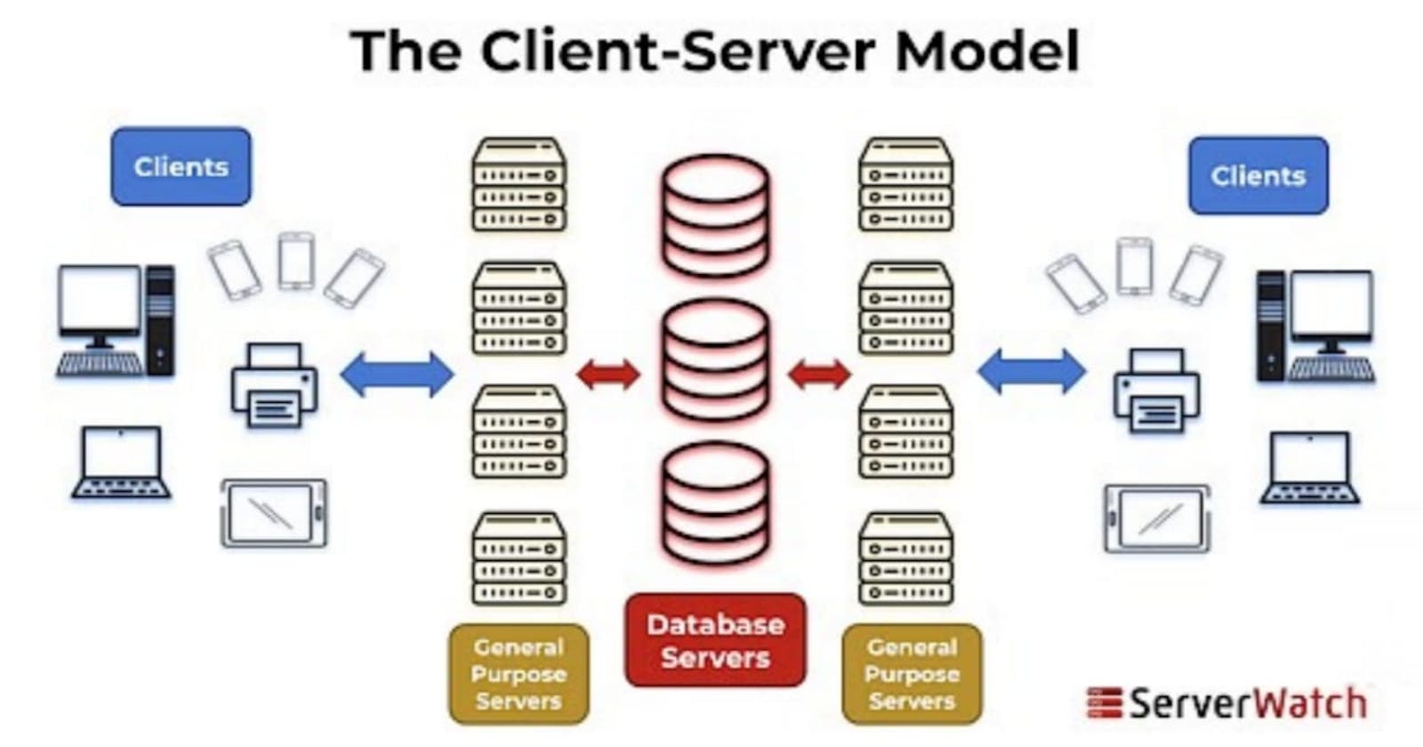 What is Client-Server Architecture? Everything You Should Know