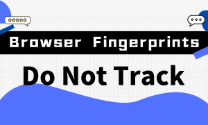 Browser Fingerprints 101: Do Not Track